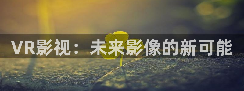 窝窝影院在线播放免费观看