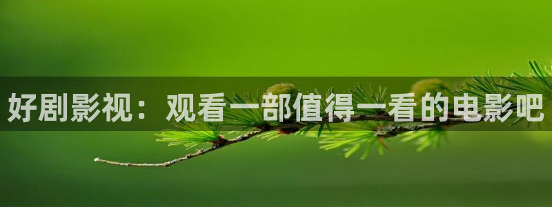 窝窝影院免费观看高清电视剧下载